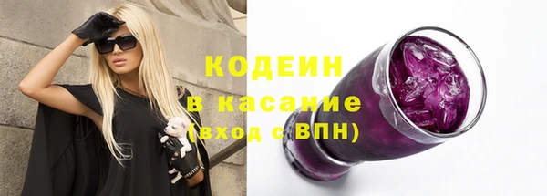 прущие грибы Алзамай