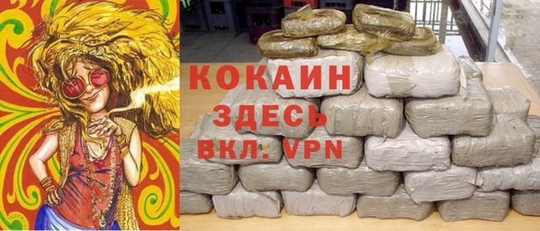 стаф Алексин