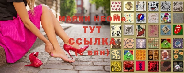 прущие грибы Алзамай