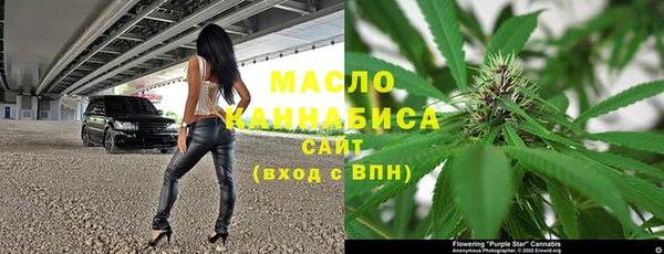 прущие грибы Алзамай