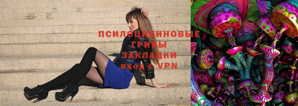 стаф Алексин