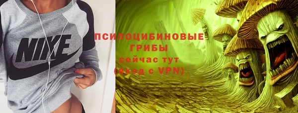 стаф Алексин