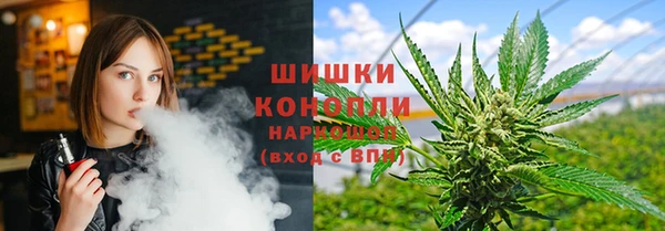 прущие грибы Алзамай