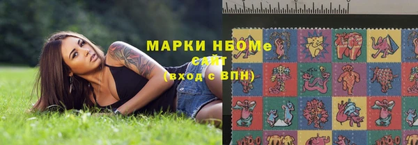 прущие грибы Алзамай